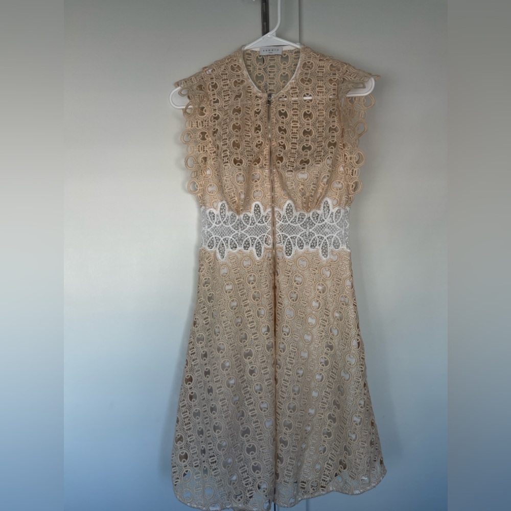 Sandro Lace Dress